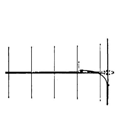 533405.jpg