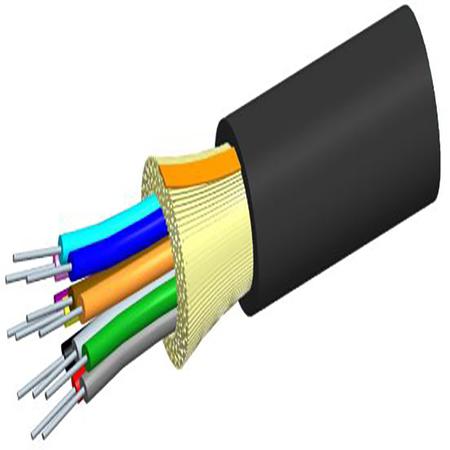 262564.jpg
